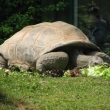 Zoo Wien