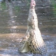 Hallers park, Mombasa